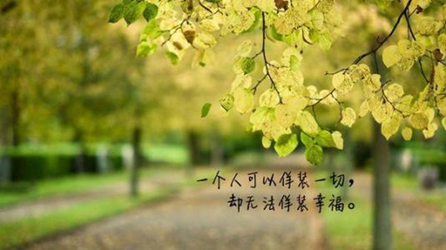 个性家族名