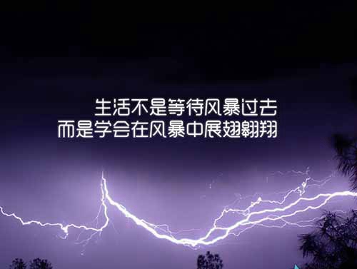 带字情侣头像大全2022最新版的