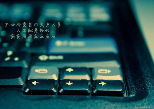 女生个性时尚网名