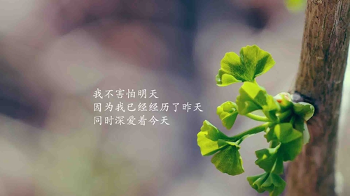 游戏的网名怎么取